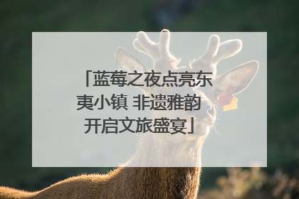 蓝莓之夜点亮东夷小镇 非遗雅韵开启文旅盛宴