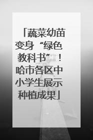蔬菜幼苗变身“绿色教科书”！哈市各区中小学生展示种植成果