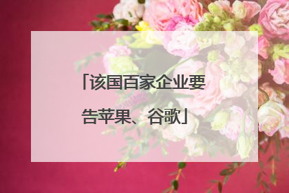 该国百家企业要告苹果、谷歌