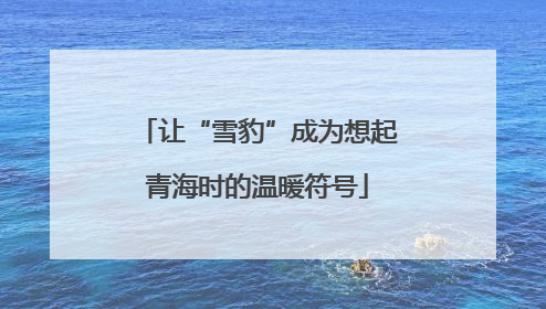 让“雪豹”成为想起青海时的温暖符号