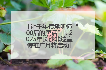 让千年传承听懂“00后的黑话”，2025年长沙非遗宣传推广月将启动