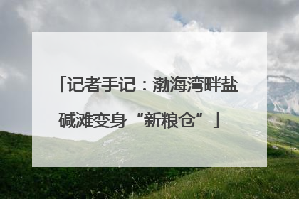 记者手记：渤海湾畔盐碱滩变身“新粮仓”