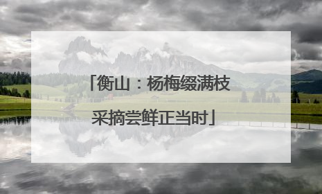 衡山：杨梅缀满枝 采摘尝鲜正当时