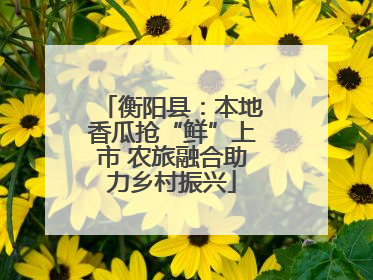 衡阳县：本地香瓜抢“鲜”上市 农旅融合助力乡村振兴