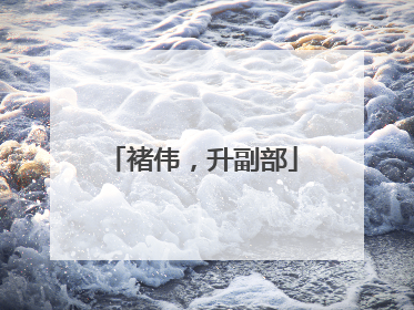 褚伟，升副部