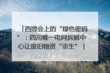 西博会上的“绿色密码”：四川唯一电网拆解中心让废旧物资“重生”｜西博寻“新”记