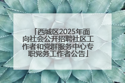 西城区2025年面向社会公开招聘社区工作者和党群服务中心专职党务工作者公告