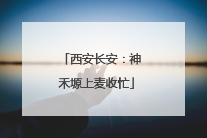 西安长安：神禾塬上麦收忙