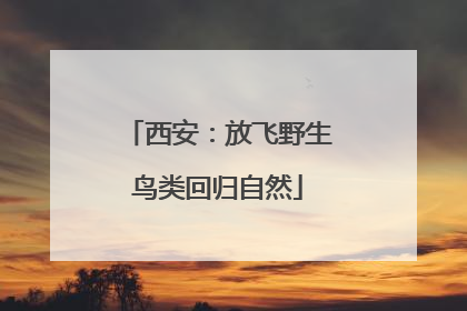 西安：放飞野生鸟类回归自然