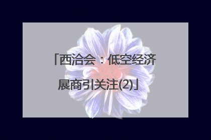 西洽会：低空经济展商引关注(2)