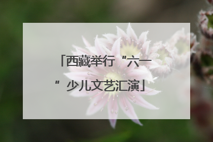 西藏举行“六一”少儿文艺汇演