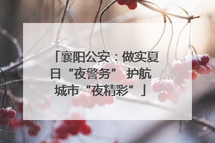 襄阳公安：做实夏日“夜警务” 护航城市“夜精彩”