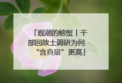 观潮的螃蟹丨干部回故土调研为何“含真量”更高