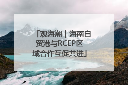 观海潮｜海南自贸港与RCEP区域合作互促共进