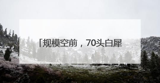 规模空前，70头白犀牛从南非运抵卢旺达