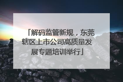 解码监管新规，东莞辖区上市公司高质量发展专题培训举行