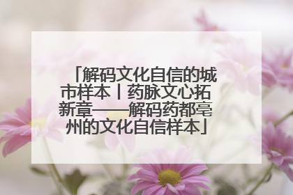 解码文化自信的城市样本丨药脉文心拓新章——解码药都亳州的文化自信样本