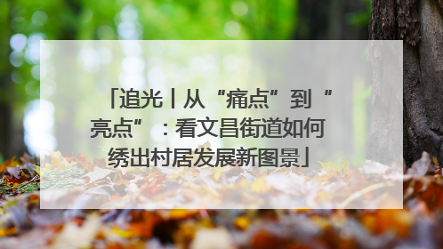 追光丨从“痛点”到“亮点”：看文昌街道如何绣出村居发展新图景