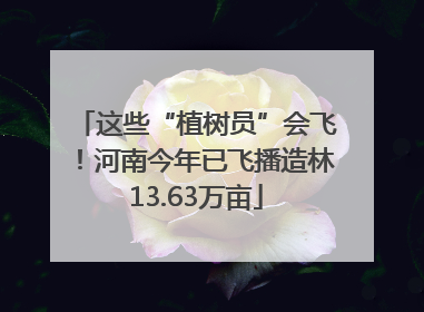 这些“植树员”会飞！河南今年已飞播造林13.63万亩