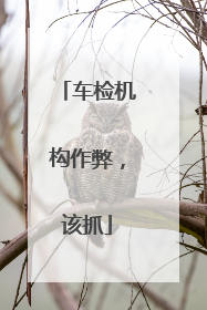 车检机构作弊，该抓