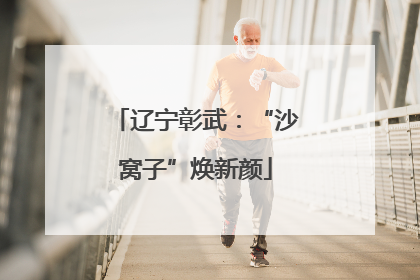 辽宁彰武：“沙窝子”焕新颜