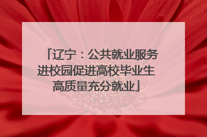 辽宁：公共就业服务进校园促进高校毕业生高质量充分就业
