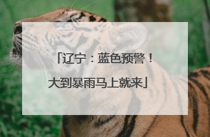 辽宁：蓝色预警！大到暴雨马上就来