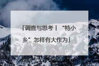 调查与思考丨“特小乡”怎样有大作为