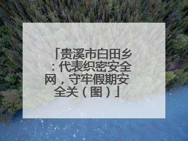 贵溪市白田乡：代表织密安全网，守牢假期安全关（图）