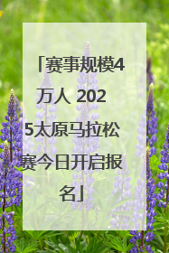 赛事规模4万人 2025太原马拉松赛今日开启报名