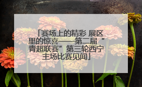 赛场上的精彩 展区里的惊喜——第二届“青超联赛”第三轮西宁主场比赛见闻