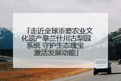 走近全球重要农业文化遗产皋兰什川古梨园系统 守护生态瑰宝 激活发展动能