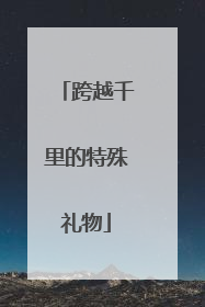 跨越千里的特殊礼物