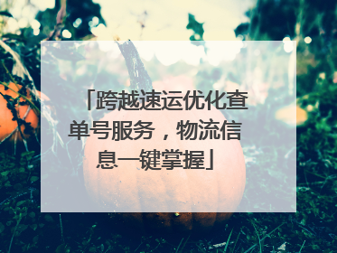 跨越速运优化查单号服务，物流信息一键掌握