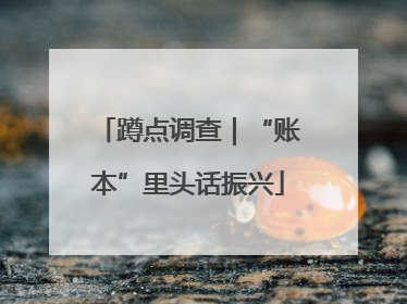 蹲点调查｜“账本”里头话振兴
