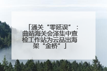 通关“零延误”：曲靖海关会泽集中查检工作站为云品出海架“金桥”