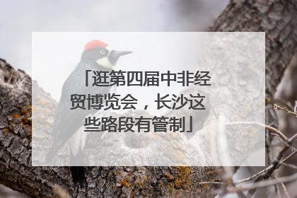 逛第四届中非经贸博览会，长沙这些路段有管制