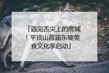 遇见舌尖上的鹰城！平顶山首届东坡美食文化季启动