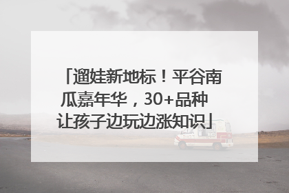 遛娃新地标！平谷南瓜嘉年华，30+品种让孩子边玩边涨知识