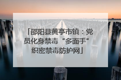 邵阳县黄亭市镇：党员化身禁毒“多面手” 织密禁毒防护网