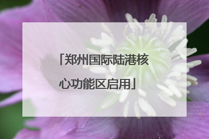 郑州国际陆港核心功能区启用