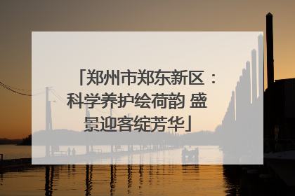 郑州市郑东新区：科学养护绘荷韵 盛景迎客绽芳华