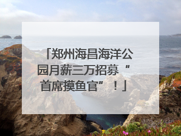 郑州海昌海洋公园月薪三万招募“首席摸鱼官”！