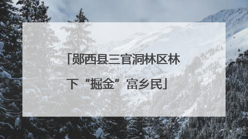 郧西县三官洞林区林下“掘金”富乡民