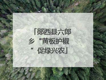 郧西县六郎乡“黄板护椒”促绿兴农
