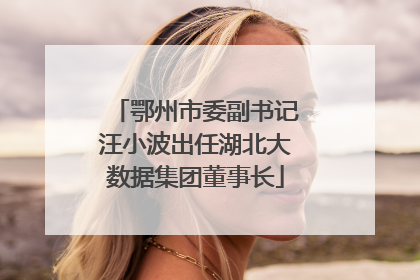 鄂州市委副书记汪小波出任湖北大数据集团董事长