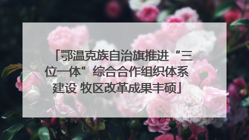 鄂温克族自治旗推进“三位一体”综合合作组织体系建设 牧区改革成果丰硕