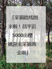 采摘路线图来啦！昌平近5000亩樱桃迎来采摘黄金期