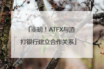 重磅！ATFX与渣打银行建立合作关系