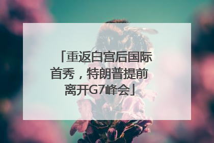 重返白宫后国际首秀，特朗普提前离开G7峰会